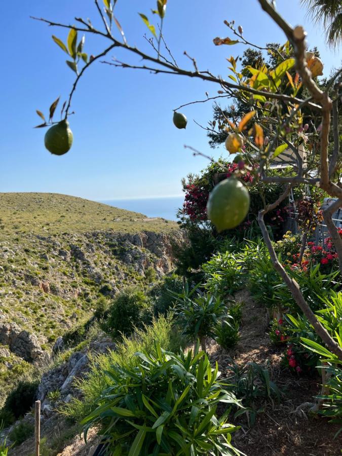 Apartamento Baglio Cracchiolo Da Tuzzo - Casa Il Limone San Vito Lo Capo Exterior foto